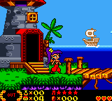 Shantae (USA) In game screenshot